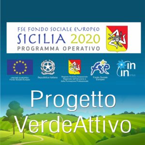 BANDO DI SELEZIONE PUBBLICA PER L’INDIVIDUAZIONE DI UN DOCENTE ESTERNO DI INFORMATICA